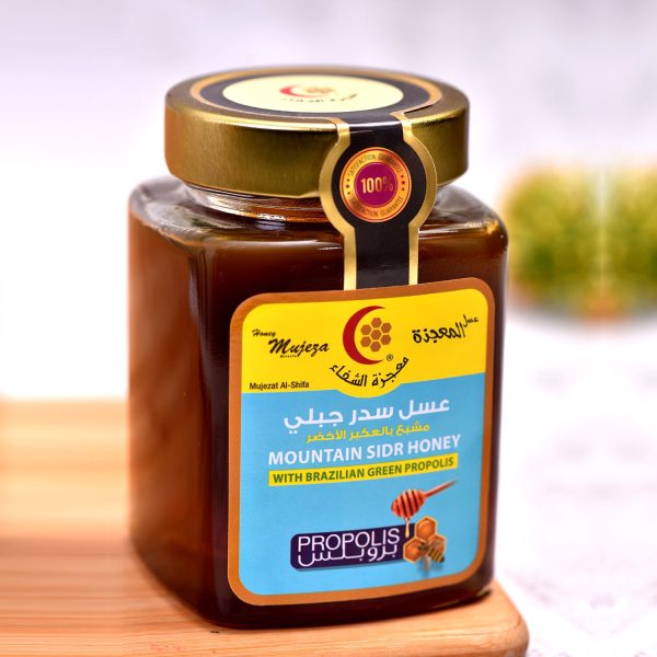 Propolis Honey 600gm