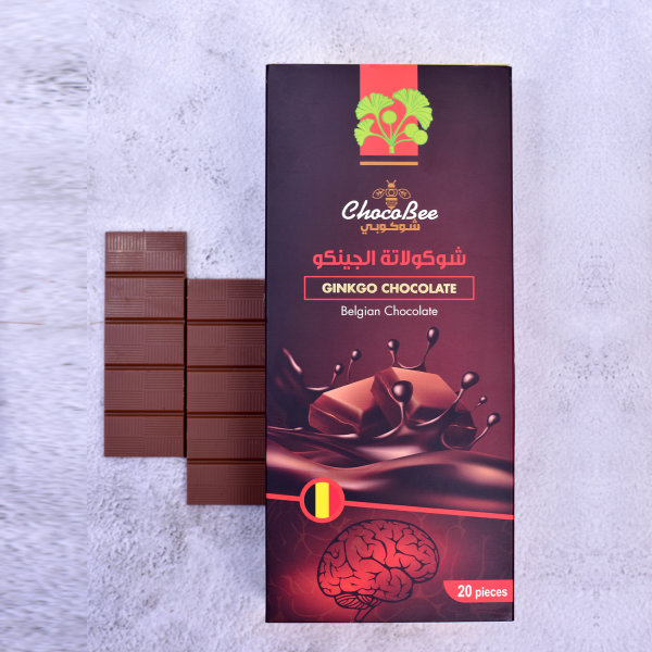 GINKGO CHOCOLATE(20pieces×25gm) 500gm